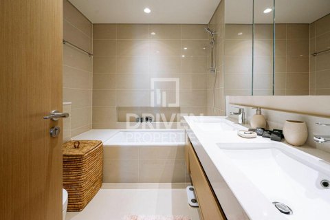 2 bedrooms Apartment in Harbour Gate, UAE No. 192540 18
