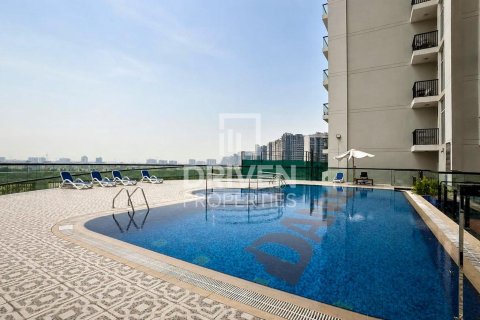 Studio Apartment in Al Furjan, UAE No. 200020 5