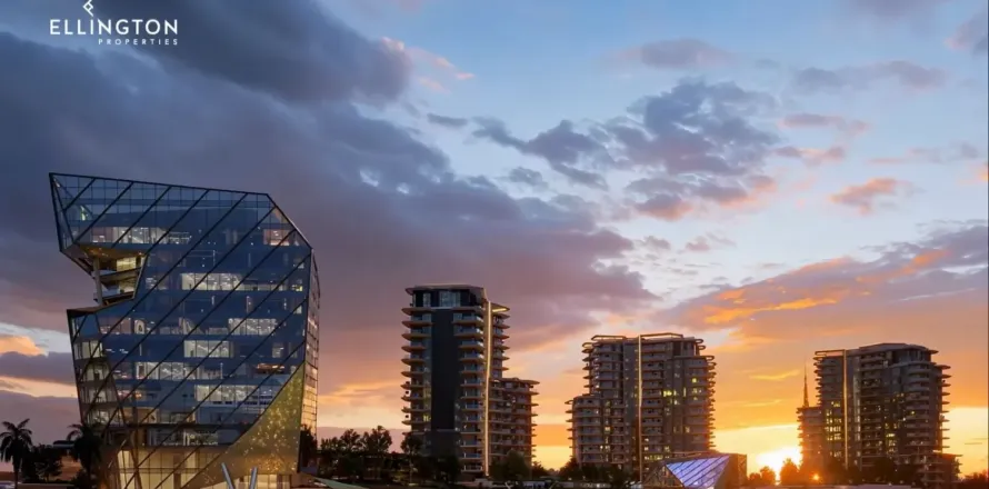 Studio Apartment  No. 117465