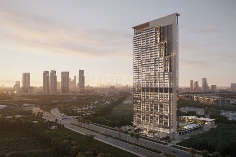 Studio Apartment in Dubai, UAE No. 172300 3