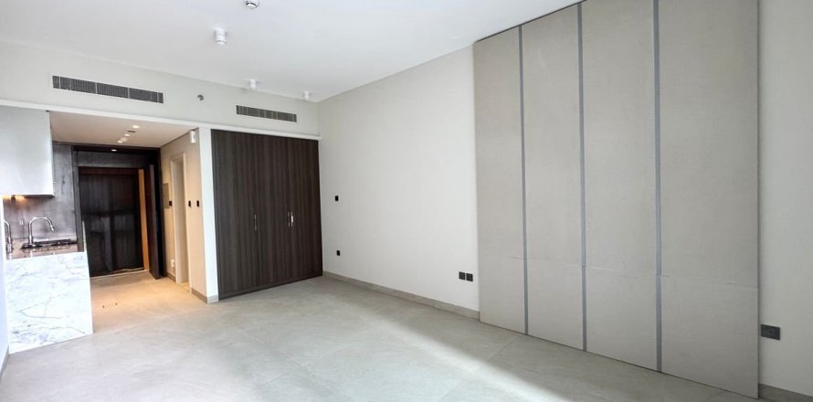 Studio Apartment in Dubai, UAE No. 169194
