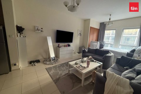 Studio Apartment in Dubai, UAE No. 169193