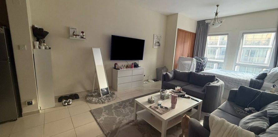 Studio Apartment in Dubai, UAE No. 169193