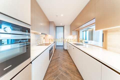 Duplex de 2 dormitorios en Zabeel, UAE No. 78244 20
