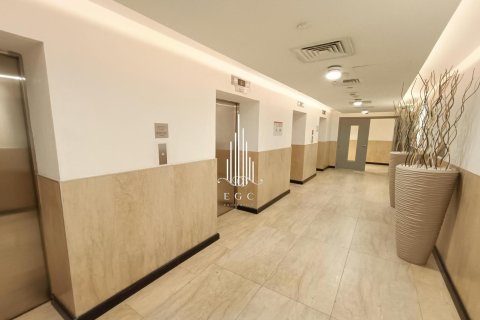 Appartement de 2 chambres à Tourist Club Area, UAE No. 55999 23