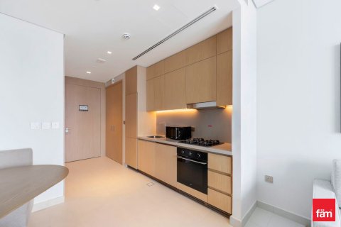 Квартира с 1 спальней в Даунтаун Дубай (Даунтаун Бурдж Дубай), ОАЭ №132200 17