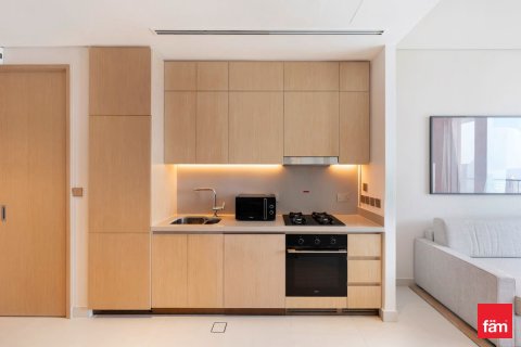 Квартира с 1 спальней в Даунтаун Дубай (Даунтаун Бурдж Дубай), ОАЭ №132200 16