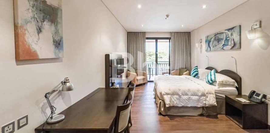 Apartamento tipo estudio Estudio  No. 114118