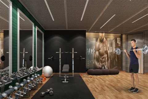 Studio Apartment in Dubai, UAE No. 171310 10