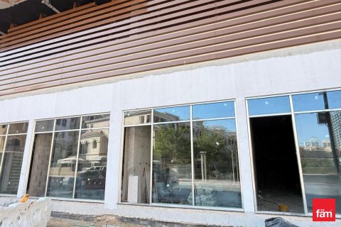 53.5مربع، محل تجاري في دبي, الإمارات العربية المتحدة رقم 167114 11