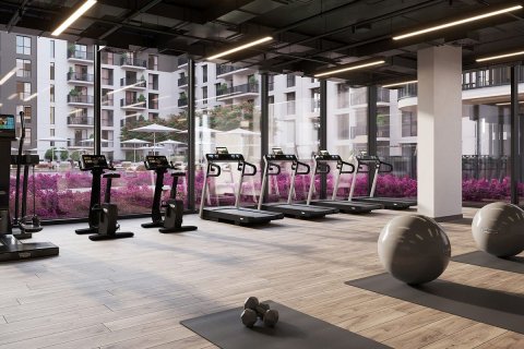 1 bedroom Apartment  No. 125341 11