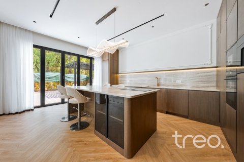 4 bedrooms Villa in Saheel, UAE No. 199158 28