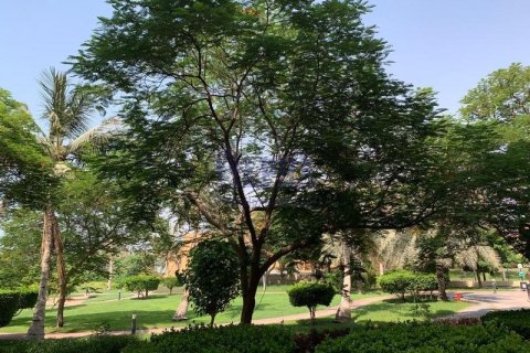 Apartment de 2 dormitorios  No. 105910 3