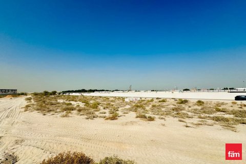 Villa de 5 dormitorios  No. 125377 10