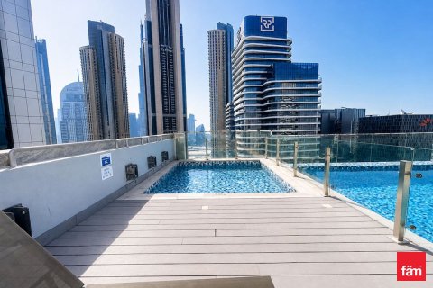 2 bedrooms Apartment in Downtown Dubai (Downtown Burj Dubai), UAE No. 161793 26