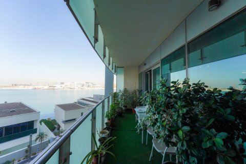 Apartment de 3 dormitorios en Al Raha Beach, UAE No. 79818 5