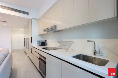 41.6مربع، شقة في DIFC, الإمارات العربية المتحدة رقم 141276 19