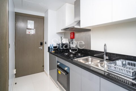 Studio Apartment  No. 116268 9