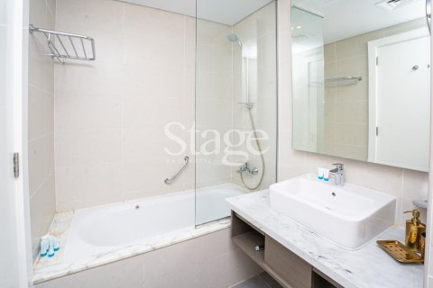Studio Apartment  No. 116268 20
