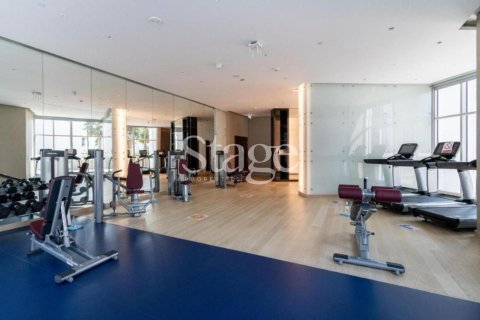 Studio Apartment  No. 116268 16