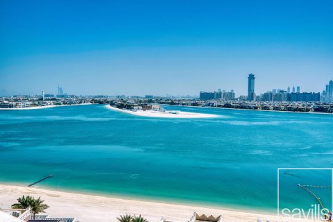 Квартира с 5 спальнями в Kingdom of Sheba, ОАЭ №136600 11