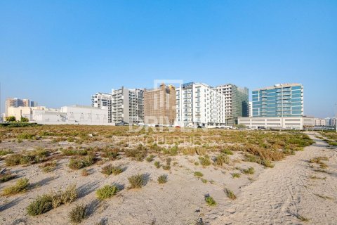 Land de 2173.93m² à Majan, UAE No. 207244 7