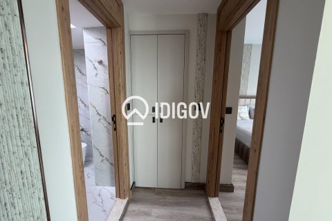 Apartment de 1 dormitorio en Park Island, UAE No. 184597 23