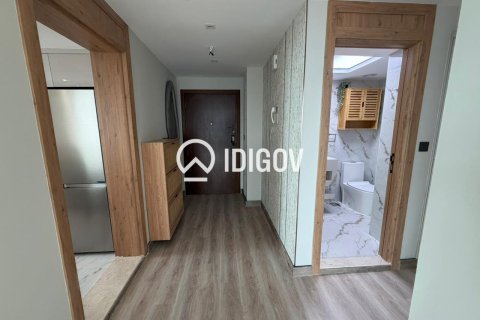 Apartment de 1 dormitorio en Park Island, UAE No. 184597 8