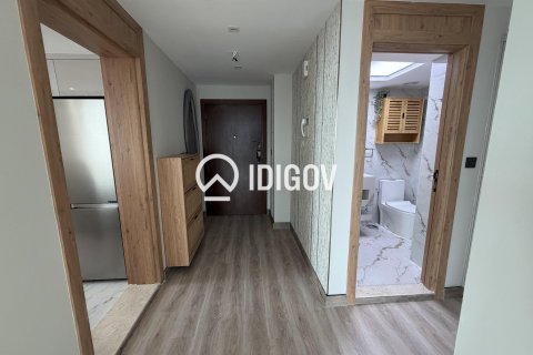 Apartment de 1 dormitorio en Park Island, UAE No. 184597 22