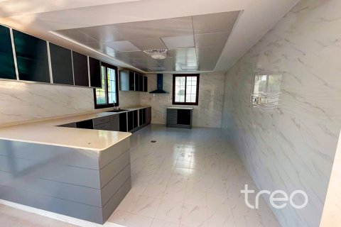 5 bedrooms Villa in Hacienda, UAE No. 199038 15
