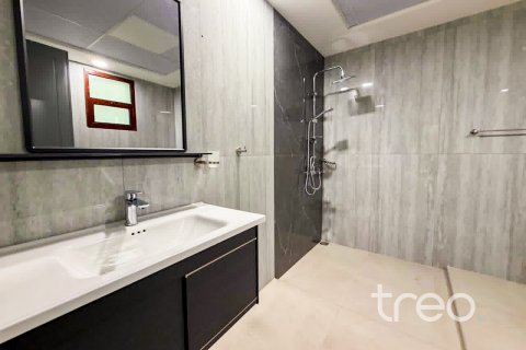 5 bedrooms Villa in Hacienda, UAE No. 199038 10