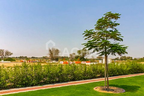 Land de 930m² en Nad Al Sheba 1, UAE No. 210310 19