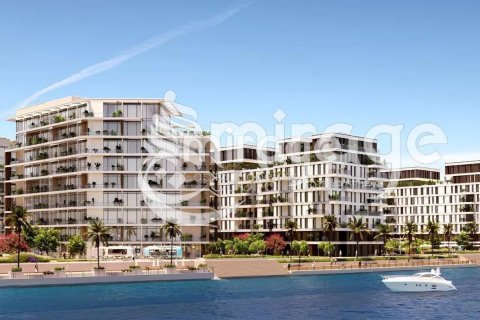 3555مربع، قطعة أرض على جزيرة ياس, الإمارات العربية المتحدة رقم 36896 3