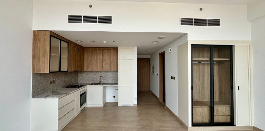 Studio Apartment in Majan, UAE No. 199374