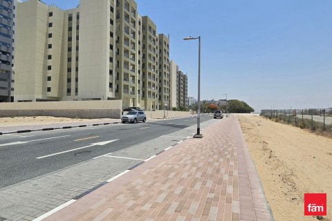 2880m² Land in Dubai, UAE No. 164341 5