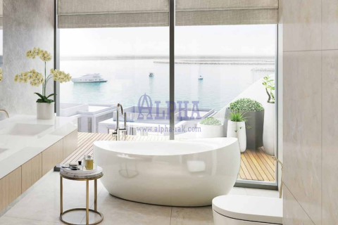 1 bedroom Apartment  No. 118015 17