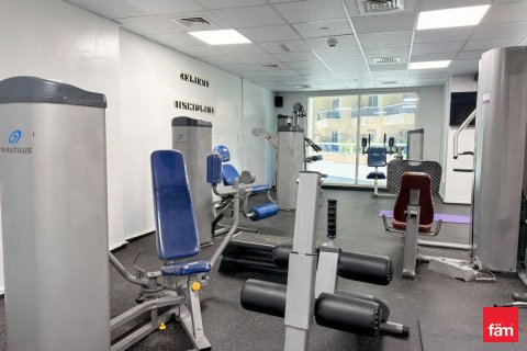 46.4m² Apartment in Dubai Production City (IMPZ), UAE No. 170121 15