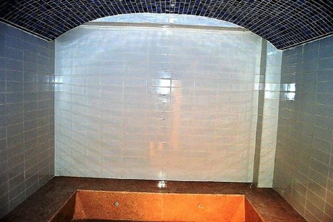 Apartment de 1 dormitorio  No. 123976 31