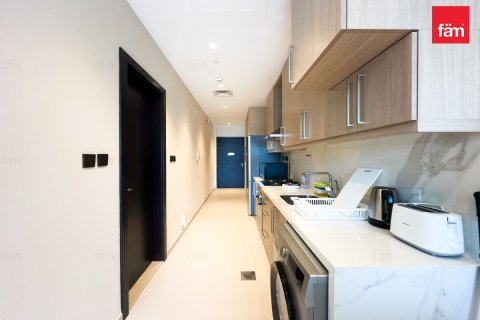 46.2m² Apartment in Downtown Dubai (Downtown Burj Dubai), UAE No. 145261 12