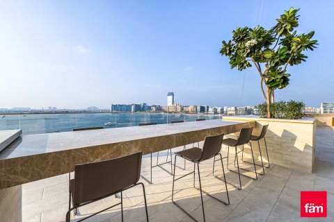 Appartement de 4 chambres à Dubai Harbour, UAE No. 162792 3