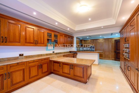 7 bedrooms Commercial property on the Saadiyat Island, UAE No. 79991 13