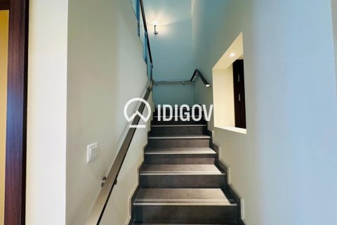 4 bedrooms Townhouse in District 11, UAE No. 184761 6