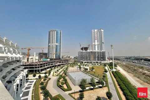 1 bedroom Apartment  No. 116755 2