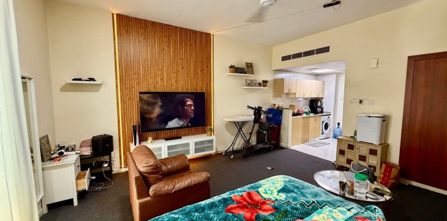 Studio Apartment in International City, UAE No. 169848