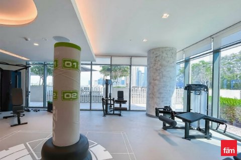Appartement de 2 chambres à Dubai Harbour, UAE No. 205696 13