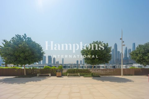 3 bedrooms Duplex in Dubai Harbour, UAE No. 185621 28
