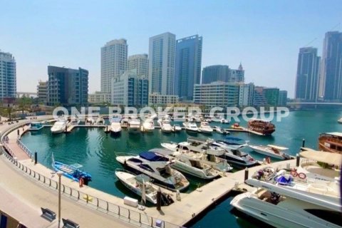 Apartment de 1 dormitorio en STELLA MARIS TOWER Dubai Marina, UAE No. 95714 15