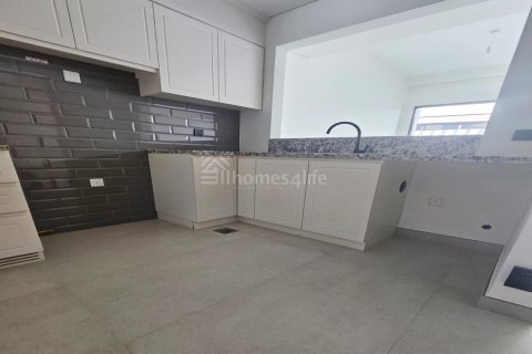 Таунхаус с 4 спальнями в Damac Lagoons, ОАЭ №164613 16