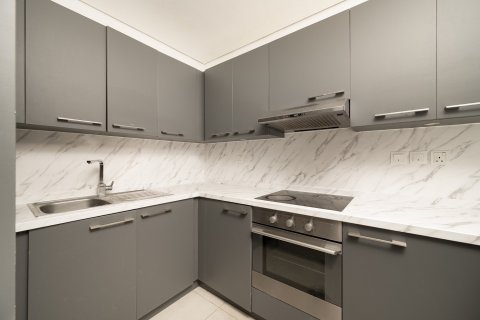 2 غرف نوم شقة في Silverene Tower B, الإمارات العربية المتحدة رقم 204916 8