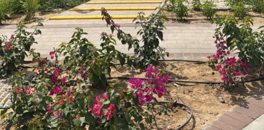 4 bedrooms Villa in Town Square, UAE No. 152485